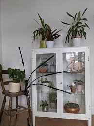 We did not find results for: Do Led Grow Lights Work Through Glass More Details In The Comments Houseplants