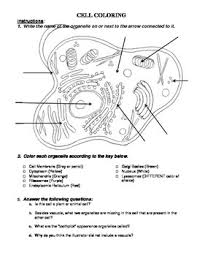 Younger students can use the animal cell worksheets as coloring pages. Plant And Animal Cell Coloring With Analysis Questions Tpt