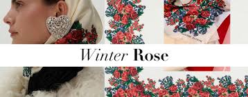 Magda Butrym's Winter Rose