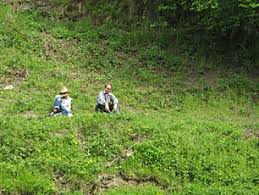 Maybe you would like to learn more about one of these? Valea Oltului