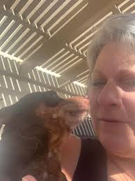 💙💛 ADOPTED💙💛 💙💛UP FOR ADOPTION💙💛 This is my sister in law Fabiola  Hernandez. She is an amazing person with a wonderful personality. She loves  to bake and loves makeup. She's ready for