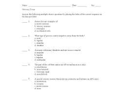 Anatomy And Physiology Nervous System Test