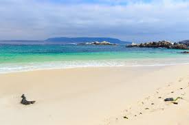 Maybe you would like to learn more about one of these? Beaches Chile Travel
