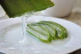 Oleh karena itu, fungsi gel lidah buaya akan sangat efektif pada jerawat yang meradang, membengkak, atau memerah.6 x teliti sumber. Lidah Buaya Untuk Jerawat Bagaimana Cara Menggunakannya