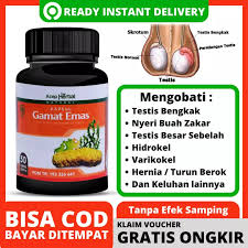 Pada umumnya kedua buah zakar memang tidak sama besarnya buah zakar sebelah kiri akan cenderung lebih rendah. Obat Testis Bengkak Hernia Turun Berok Testis Nyeri Sakit Buah Zakar Hidrokel Varikokel Buah Zakar Bengkak