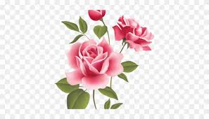 Selain bentuknya yang unik, bunga mawar memiliki daya tarik tersendiri untuk belajar menggambar sketsa karena terdiri dari paduan garis dan lengkungan. Pink Rose Clipart Bunga Mawar Pink Floral Pattern Png Free Transparent Png Clipart Images Download
