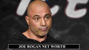 He said, quote, the show had to get more and more extreme, and it was very dangerous. Joe Rogan Net Worth 2020 Podcast Per Episode Salary Revealed