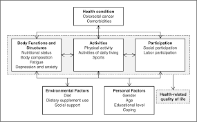The Applicability Of The International Classification Of Functioning Disability And Health To Study Lifestyle And Quality Of Life Of Colorectal Cancer Survivors Cancer Epidemiology Biomarkers Prevention