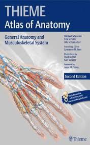 The thieme atlas of anatomy series also features neck and internal organs and head and neuroanatomy. General Anatomy And Musculoskeletal System Thieme Atlas Of Anatomy Michael Schuenke 9781604069228