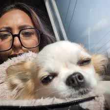 To my sassy little one with personality bigger than your entire body and  more than most humans have in their little finger. Whose judgemental side  eye is so powerful and tongue is