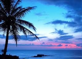 Pretty sunset pics are great to personalize your world. Tropical Island Pretty Pink Blue Sunset Landscape Greeting Card For Sale By Lola Capricola