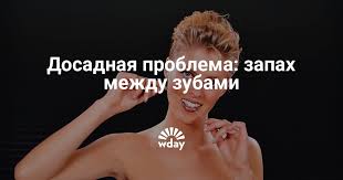 Zapah Mezhdu Zubami Chto Delat Esli Mezhdu Zubov Nepriyatnyj Zapah Www Wday Ru