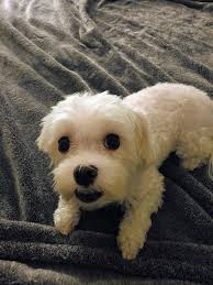 Come out this Saturay morning