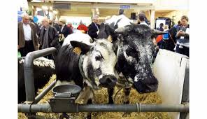 Ou se trouve le salon de l agriculture. Agriculture Photos Les Vosgiens Au Salon De L Agriculture De Paris