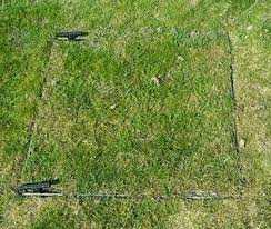 We did not find results for: Disguise Drain Covers In Garden Lawns How To Hide Them Ecogrid