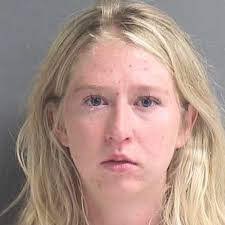 Woman charged after four dogs died in hot car while she ate at restaurant