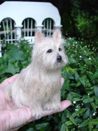 Lucy Maloney S Miniature Dogs Are Stunningly Lifelike Miniature Dogs Felt Dogs Needlefelted Animals
