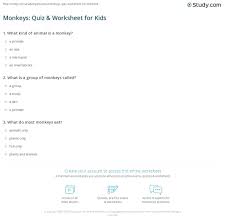 Monkey trivia questions and answers. Monkeys Quiz Worksheet For Kids Study Com
