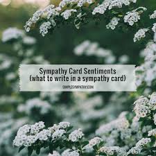 What should i write on a sympathy card with flowers. Sympathy Card Sentiments What To Write In A Sympathy Card Simple Sympathy