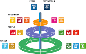 sdg training materials cifal flanders