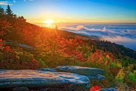 Check spelling or type a new query. North Carolina Nature 1280x853 Wallpaper Teahub Io