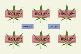 What is the best light to grow cannabis indoors. The Ideal Marijuana Grow Light Setup Grow Light Central