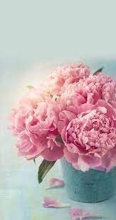 Pretty Pink Peonies Imagem Floral Flores Cor De Rosa Papel De Parede Flores
