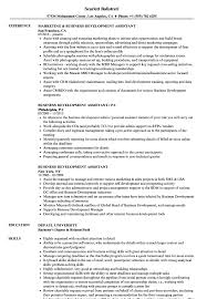 Business Development Assistant Resume Samples Velvet Jobs