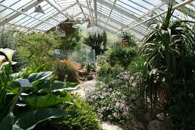 Der botanische garten in münster wurde 1803 gegründet und ist heute 4,6 hektar groß. Der Botanische Garten
