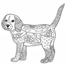 Dibujos De Animales Para Colorear Adultos