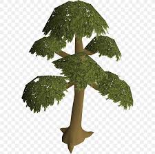 ·1 calquat + 1 elder sapling. Old School Runescape Tree Wikia English Yew Png 593x813px Runescape Branch English Yew Fruit Tree Houseplant
