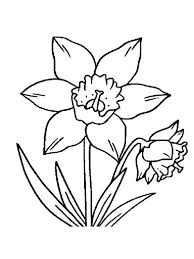 Many poets wrote poems in his honor, and painters decorated their canvases with his image. Daffodil Flower Coloring Page Creative Art