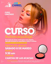 Alcaldía Ciudadana de Palenque