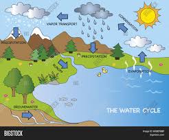 Water Cycle Image Photo Free Trial Bigstock The sun heats up the water from oceans, lakes and rivers and water changes into water vapor. water cycle image photo free trial
