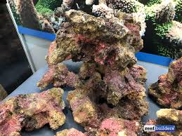Beli aneka produk aquarium rak online terlengkap dengan mudah, cepat & aman di tokopedia. Artificial Rock From Ats Looks Better Than The Real Thing Reef Builders The Reef And Saltwater Aquarium Blog