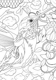 Difficult Animals Coloring Pages For Adults 3 Jpg 723 1 024 Pixels Bird Coloring Pages Animal Coloring Pages Animal Coloring Books