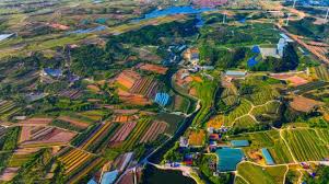 片区里，春光好！山东蹚出片区化推进乡村振兴,伪基站购买,伪基站 ...