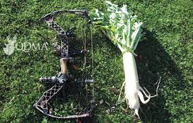 Buy organic and local whenever possible. Radishes For Deer Nda