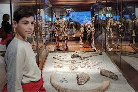 Visita al Museo della Natura e dellUomo a Padova - DivertiViaggio