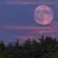 Women’s Circle: New Moon Ceremony event image