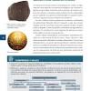 El libro de historia contestado de 6 grado. 1