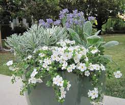 Check spelling or type a new query. Diy Outdoor Planters A Cool Palette For Hot Weather Gardenista Diy Planters Outdoor Outdoor Planters Summer Planter