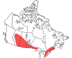 That is prone to powerful thunderstorms and. File Canadian Tornado Alleys Png Wikipedia
