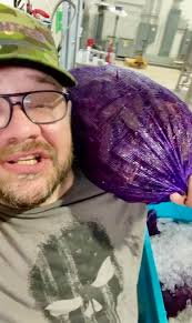 Lucky Bugs Escape Boiling at Bayou Boiled Seafood