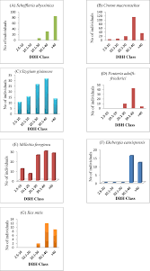 Image result for Pouteria adolfi-friederici