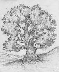 Uzzime Koku Pateiksu Kads Esi Tree Drawing Tree Drawings Pencil Tree Drawing Simple