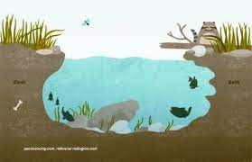 Dalam menyiapkan kolam, hal perlu diketahui yaitu syarat lokasi kolam ikan nila dan. Tips Cara Mengetahui Tempat Ikan Di Bendungan Dan Danau Mototainmentblog
