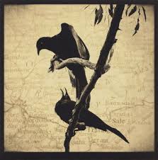 Karena Goldfinch Goldfinch My Images Animals