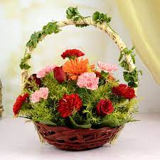 Check spelling or type a new query. Red Flower Basket Flowers For Birthdays