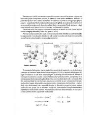 Studiando i vari ambiti della matematica capita spesso di imbattersi in moltissimi simboli e terminologie di cui spesso non si conosce il significato, o persino il contesto da cui essi provengono. Biochimie Medicala Pdf Txt